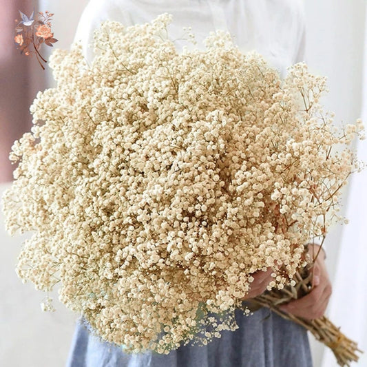 Bouquet Kasumi