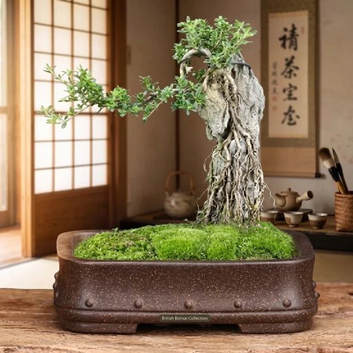 Cache-pot Nagai · rectangulaire bambou