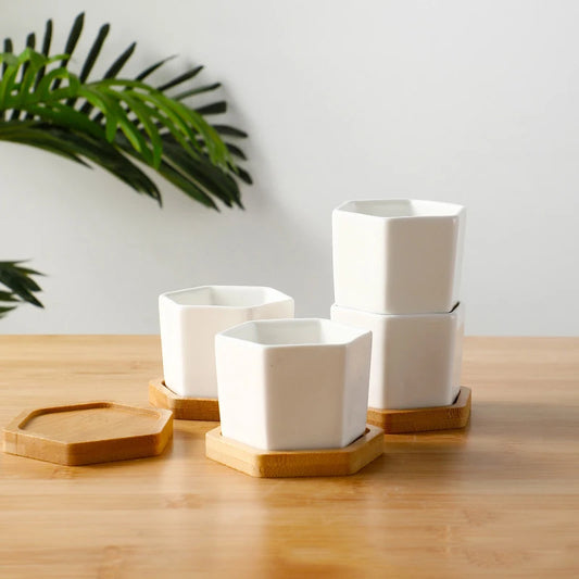 Cache-pot Roku