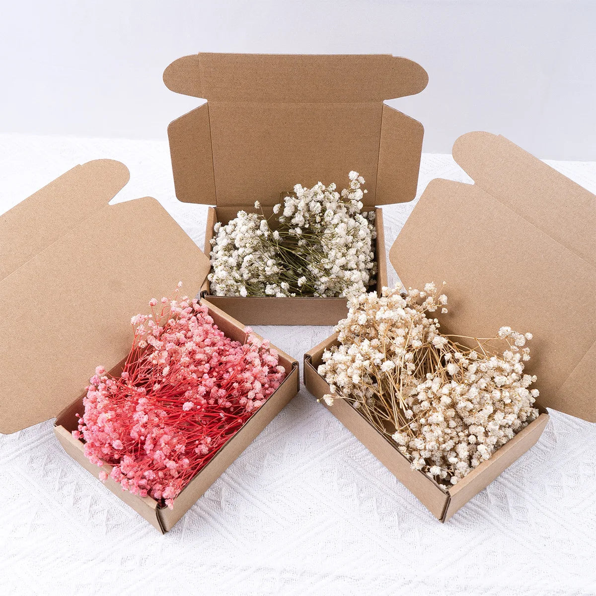 Gypsophile Shiro · set séché